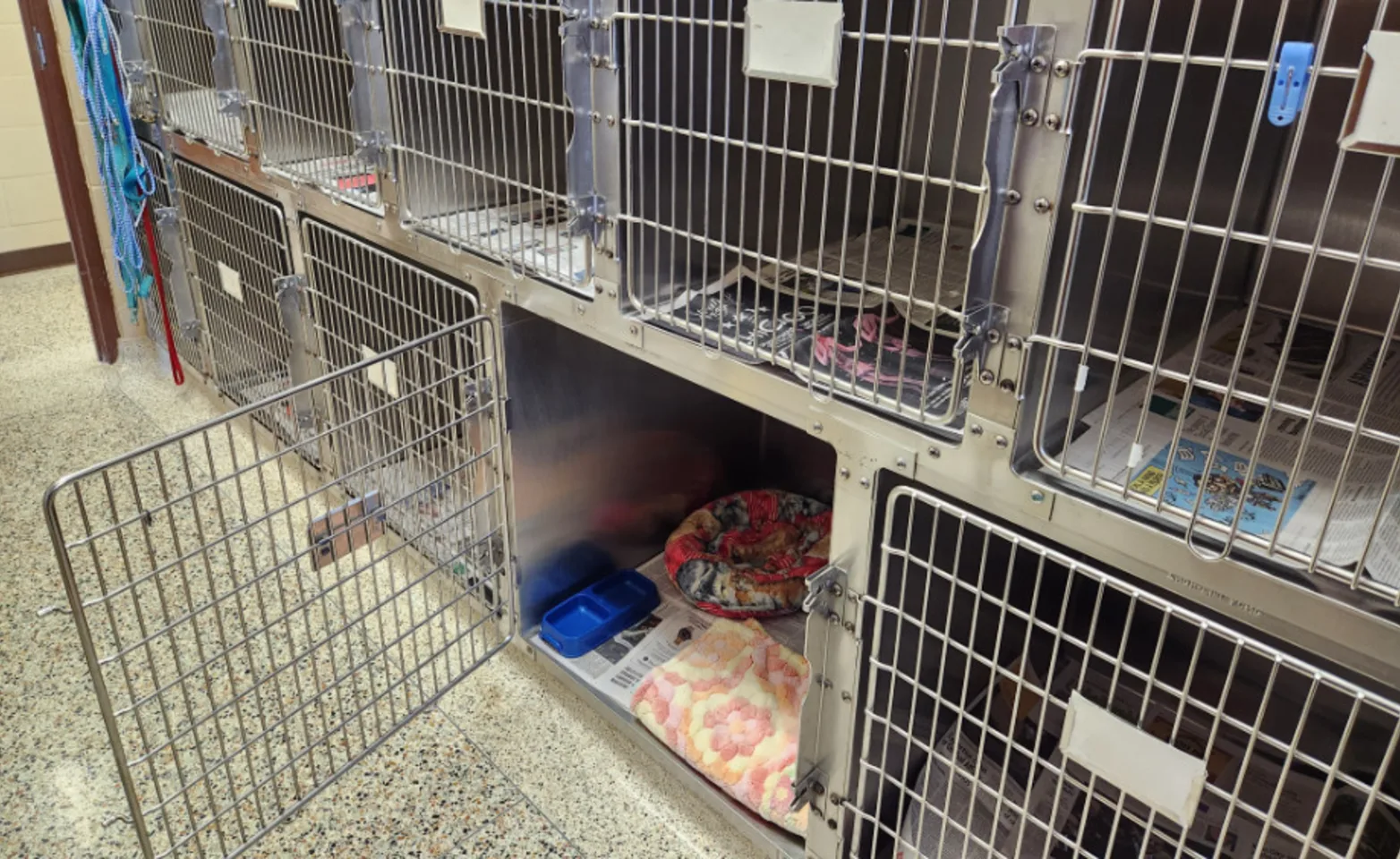 Kennels and Cages at Mount Brydges Animal Clinic